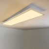 Plafonnier WABOS LED Blanc, 1 lumière, Télécommandes, Changeur de couleurs