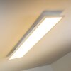 Plafonnier WABOS LED Blanc, 1 lumière, Télécommandes, Changeur de couleurs