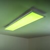 Plafonnier WABOS LED Blanc, 1 lumière, Télécommandes, Changeur de couleurs