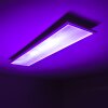 Plafonnier WABOS LED Blanc, 1 lumière, Télécommandes, Changeur de couleurs