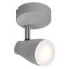 Spot Plafonnier Luminaires Ledvance LED Gris, 1 lumière