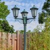 Loria Luminaire extérieur, Réverbère, Eclairage de chemin Vert, Noir, 3 lumières