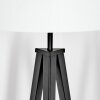 Flemming Lampadaire Noir, 1 lumière