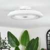 Benasal Plafonnier, Ventilateur de plafond lumineux Blanc, 1 lumière, Télécommandes