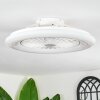 Benasal Plafonnier, Ventilateur de plafond lumineux Blanc, 1 lumière, Télécommandes