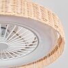 Benasal Plafonnier, Ventilateur de plafond lumineux Écru, Blanc, 1 lumière, Télécommandes