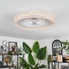 Benasal Plafonnier, Ventilateur de plafond lumineux Écru, Blanc, 1 lumière, Télécommandes