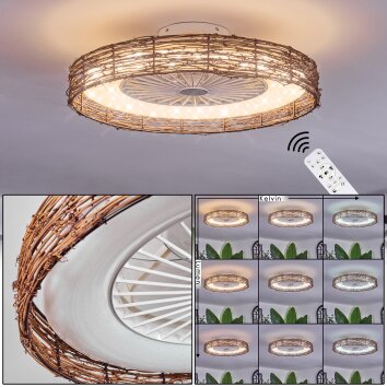 Benasal Plafonnier, Ventilateur de plafond lumineux Écru, Blanc, 1 lumière, Télécommandes