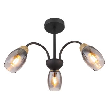 GERLY Plafonnier Luminaires Globo Lighting Noir, 3 lumières