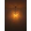 GERLY Applique murale Luminaires Globo Lighting Noir, 1 lumière