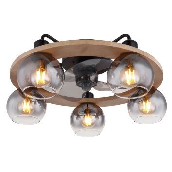 LAMOTTA Luminaires Globo Lighting Noir, 5 lumières, Télécommandes LAMOTTA Luminaires Globo Lighting Noir, 5 lumières, Télécommandes