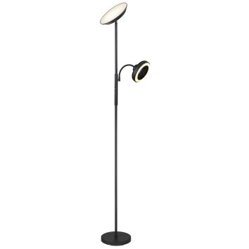 DAVYD Lampadaire Luminaires Globo Lighting LED Noir, 1 lumière