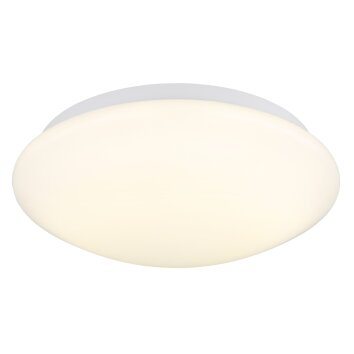 Onega Plafonnier Luminaires Globo Lighting LED Blanc, 1 lumière