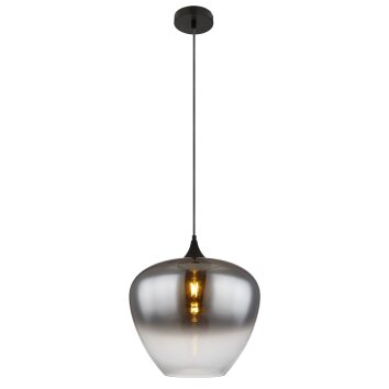 Maxy Suspension Luminaires Globo Lighting Noir, 1 lumière