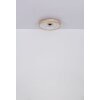 Gatian Ventilateur de plafond lumineux Luminaires Globo Lighting LED Brun foncé, Blanc, 1 lumière, Télécommandes