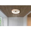 Gatian Ventilateur de plafond lumineux Luminaires Globo Lighting LED Brun foncé, Blanc, 1 lumière, Télécommandes