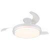 Beliz Ventilateur de plafond lumineux Luminaires Globo Lighting LED Blanc, 1 lumière, Télécommandes