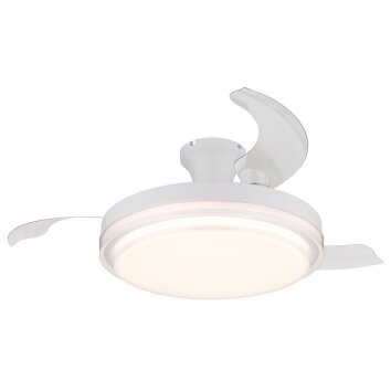 Beliz Ventilateur de plafond lumineux Luminaires Globo Lighting LED Blanc, 1 lumière, Télécommandes