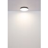 Matthew Plafonnier Luminaires Globo Lighting LED Blanc, 1 lumière