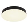 Matthew Plafonnier Luminaires Globo Lighting LED Noir, Blanc, 1 lumière