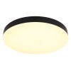 Matthew Plafonnier Luminaires Globo Lighting LED Noir, Blanc, 1 lumière