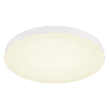 Matthew Plafonnier Luminaires Globo Lighting LED Blanc, 1 lumière