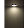 Matthew Plafonnier Luminaires Globo Lighting LED Noir, Blanc, 1 lumière