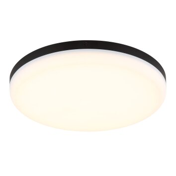 Matthew Plafonnier Luminaires Globo Lighting LED Noir, 1 lumière