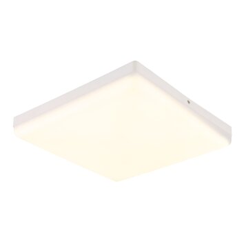 Matthew Plafonnier Luminaires Globo Lighting LED Blanc, 1 lumière