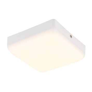 Matthew Plafonnier Luminaires Globo Lighting LED Blanc, 1 lumière