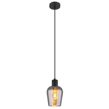 Ryan Suspension Luminaires Globo Lighting Noir, 1 lumière