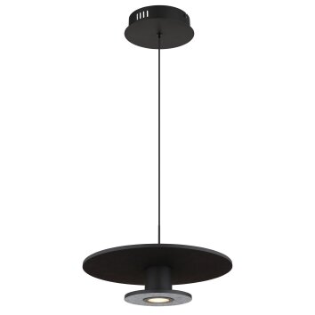 Carter Suspension Luminaires Globo Lighting LED Noir, 1 lumière