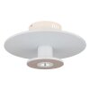 Carter Plafonnier Luminaires Globo Lighting LED Blanc, 1 lumière