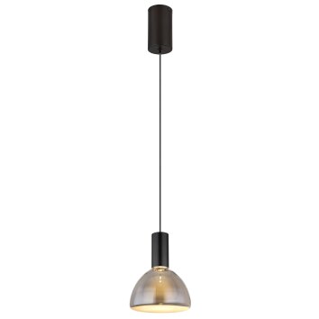 Labora Suspension Luminaires Globo Lighting LED Noir, 1 lumière