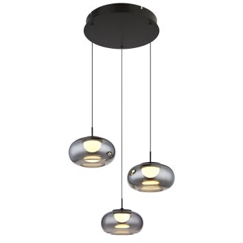 Quintara Suspension Luminaires Globo Lighting LED Noir, 1 lumière