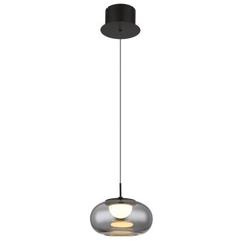 Quintara Suspension Luminaires Globo Lighting LED Noir, 1 lumière