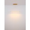 Muriella Suspension Luminaires Globo Lighting LED Laiton, 1 lumière