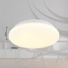 Flarx Plafonnier Luminaires Globo Lighting LED Blanc, 1 lumière