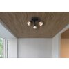 Satella Plafonnier, Spot de plafond, Applique murale, Spot mural Luminaires Globo Lighting Noir, 3 lumières