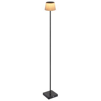 Gregoir Lampadaire Luminaires Globo Lighting LED Noir, 1 lumière