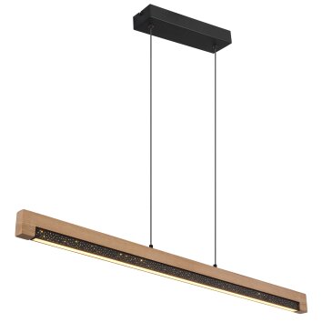 Starla Suspension Luminaires Globo Lighting LED Brun foncé, Noir, 1 lumière