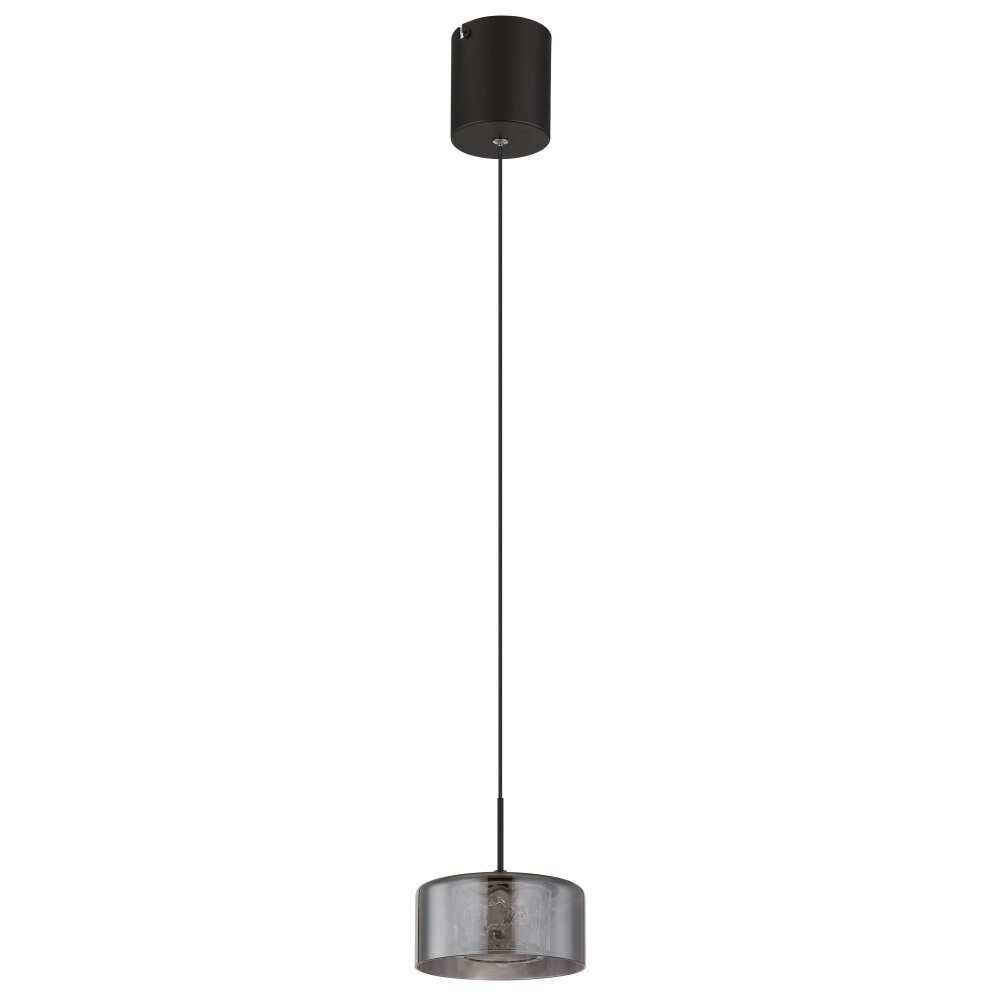 Fogsy Suspension Luminaires Globo Lighting LED Noir, 1 lumière