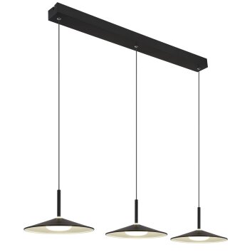 Lampone Suspension Luminaires Globo Lighting LED Noir, 1 lumière