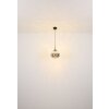 Firefly Suspension Luminaires Globo Lighting LED Noir, 1 lumière