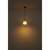 Jella Suspension Luminaires Globo Lighting Noir, 1 lumière