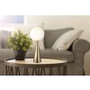 Pinpal Lampe à poser Luminaires Globo Lighting Laiton, 1 lumière