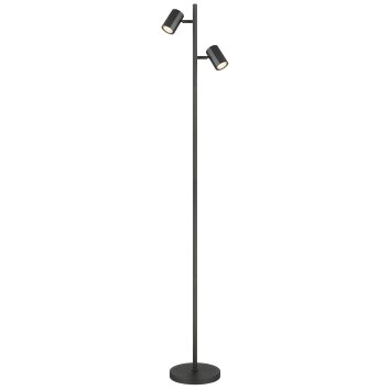 James Lampadaire Luminaires Globo Lighting Gris, 2 lumières