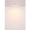 Tyler Plafonnier Luminaires Globo Lighting LED Rose, 1 lumière