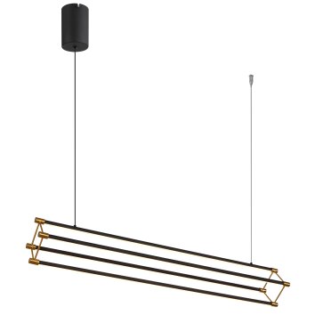 Kayson Suspension Luminaires Globo Lighting LED Noir, 1 lumière