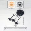Gastor Suspension, Boule lumineuse Ambre, Fumé, 3 lumières